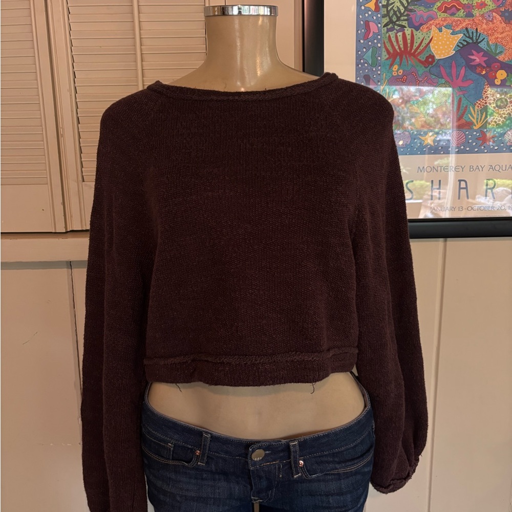 Free People Dark Brown Crew Neck Crop Sweater